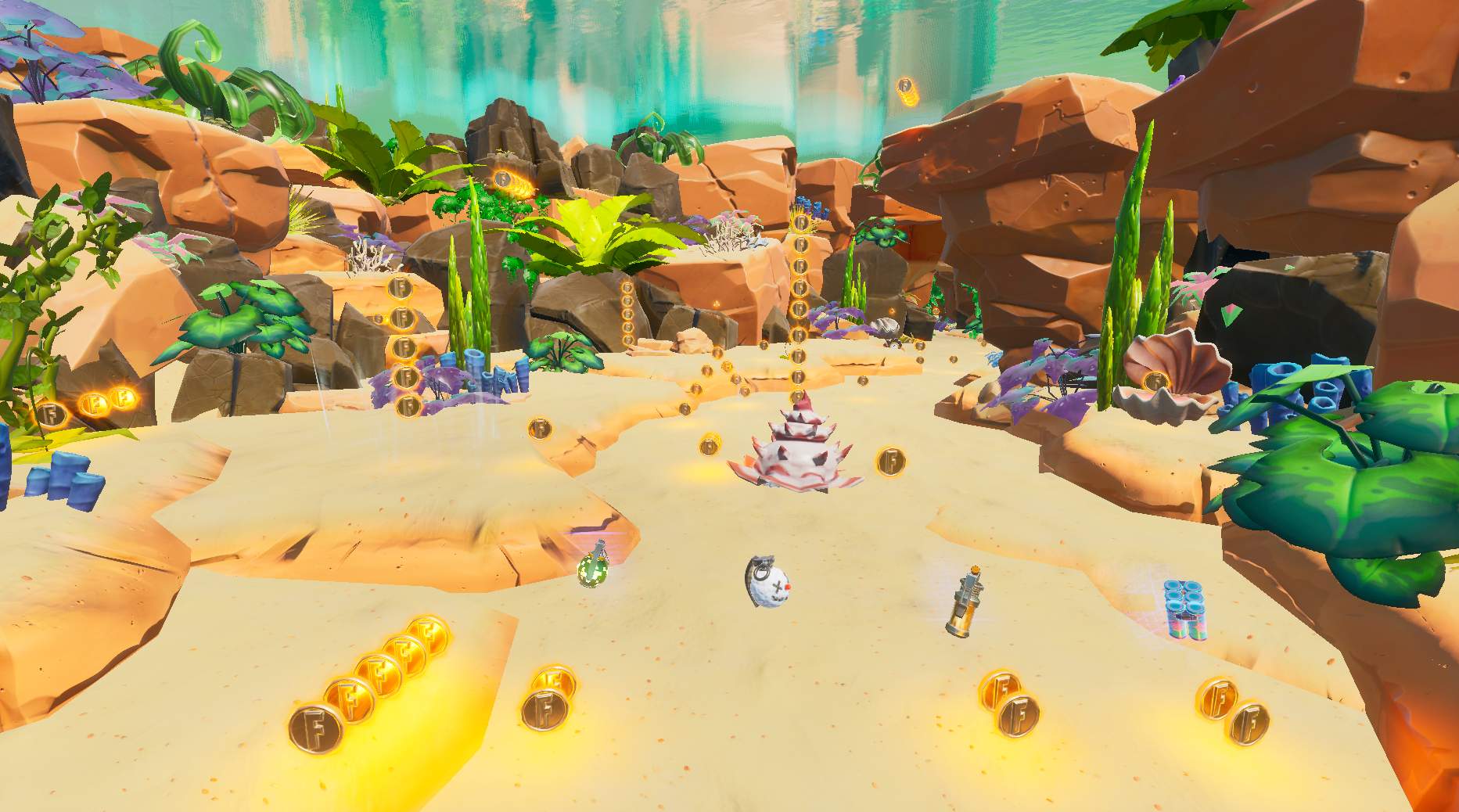 SCHNELL COVE - ULTIMATE COIN RACE