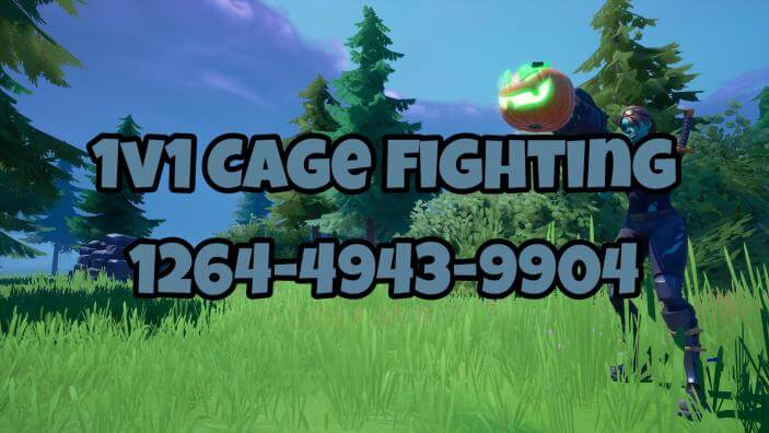 1V1 CAGE FIGHTING - 1ST TO 20 KILLS