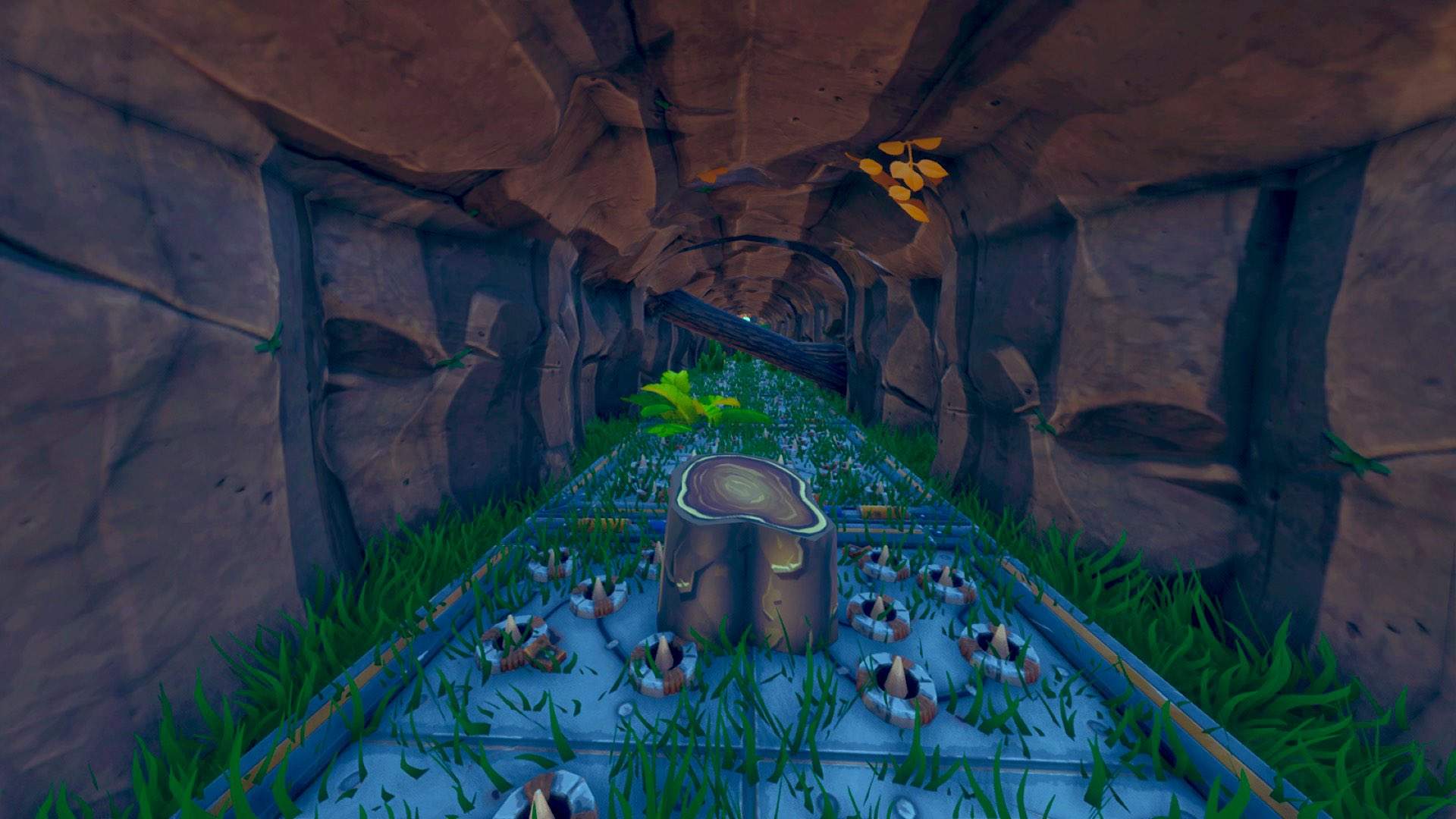 FOREST ADVENTURE RUN