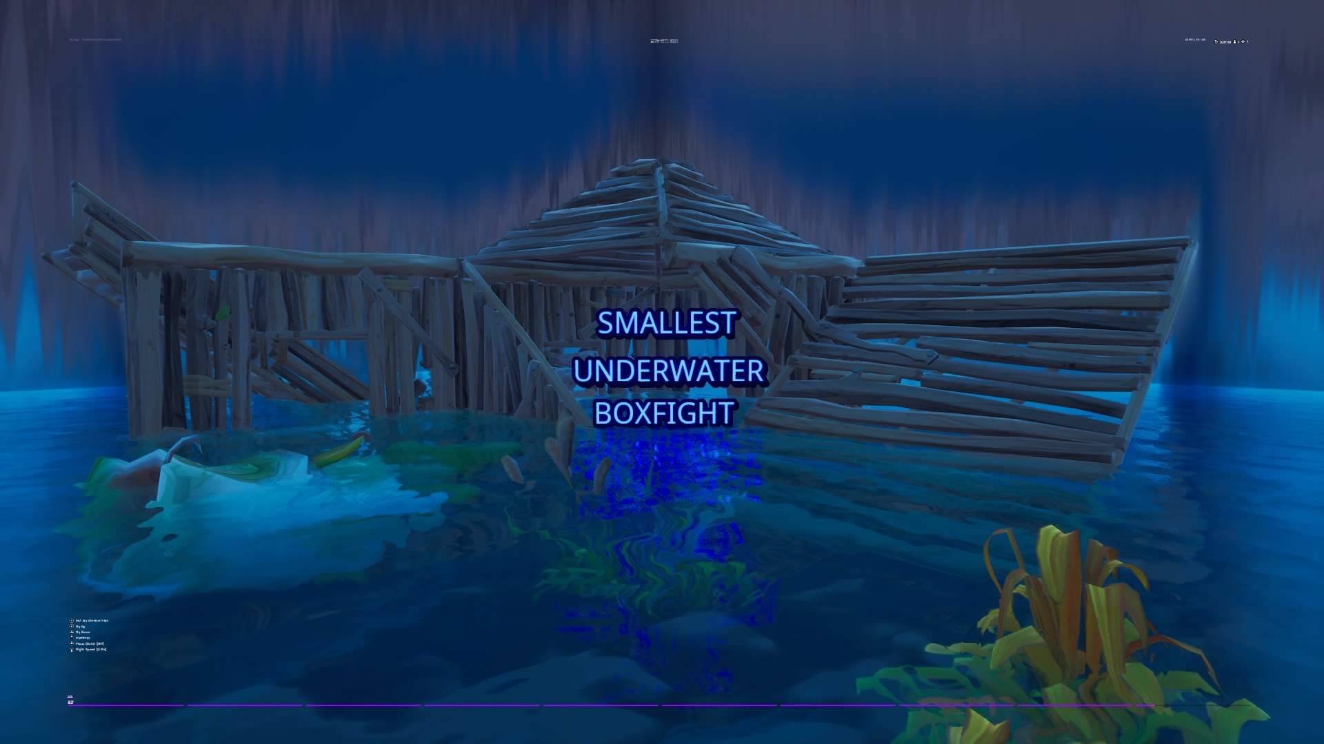 SMALLEST UNDERWATER BOXFIGHT