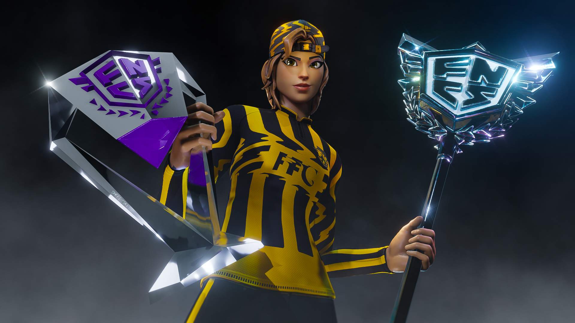 DIGNITAS REALISTIC ARENA