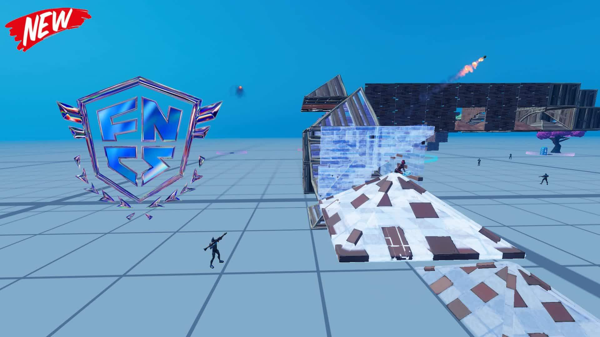 FNCS SIMULATOR (FFA)