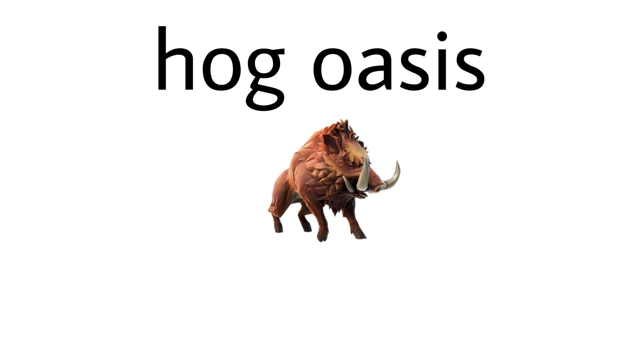 HOG OASIS