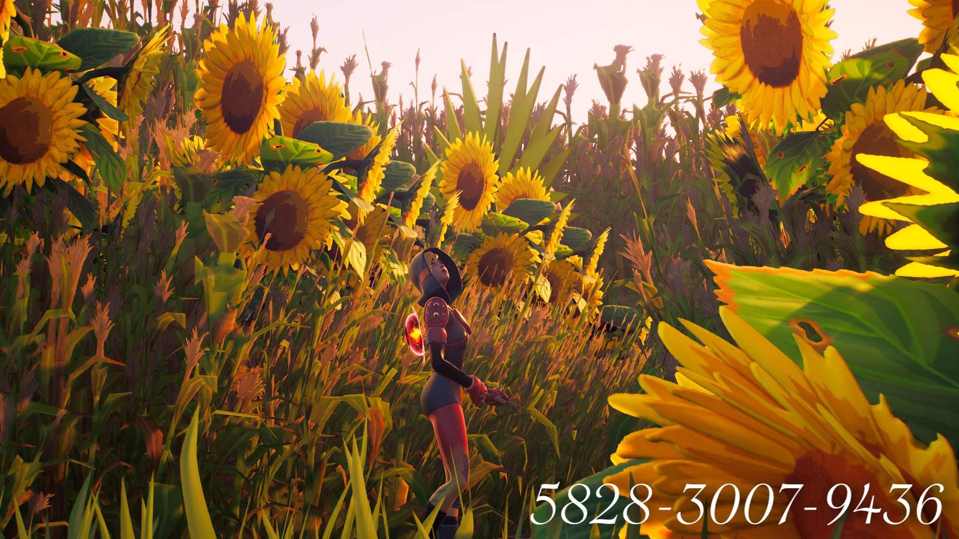 Japanese summer Photo / 日本の夏