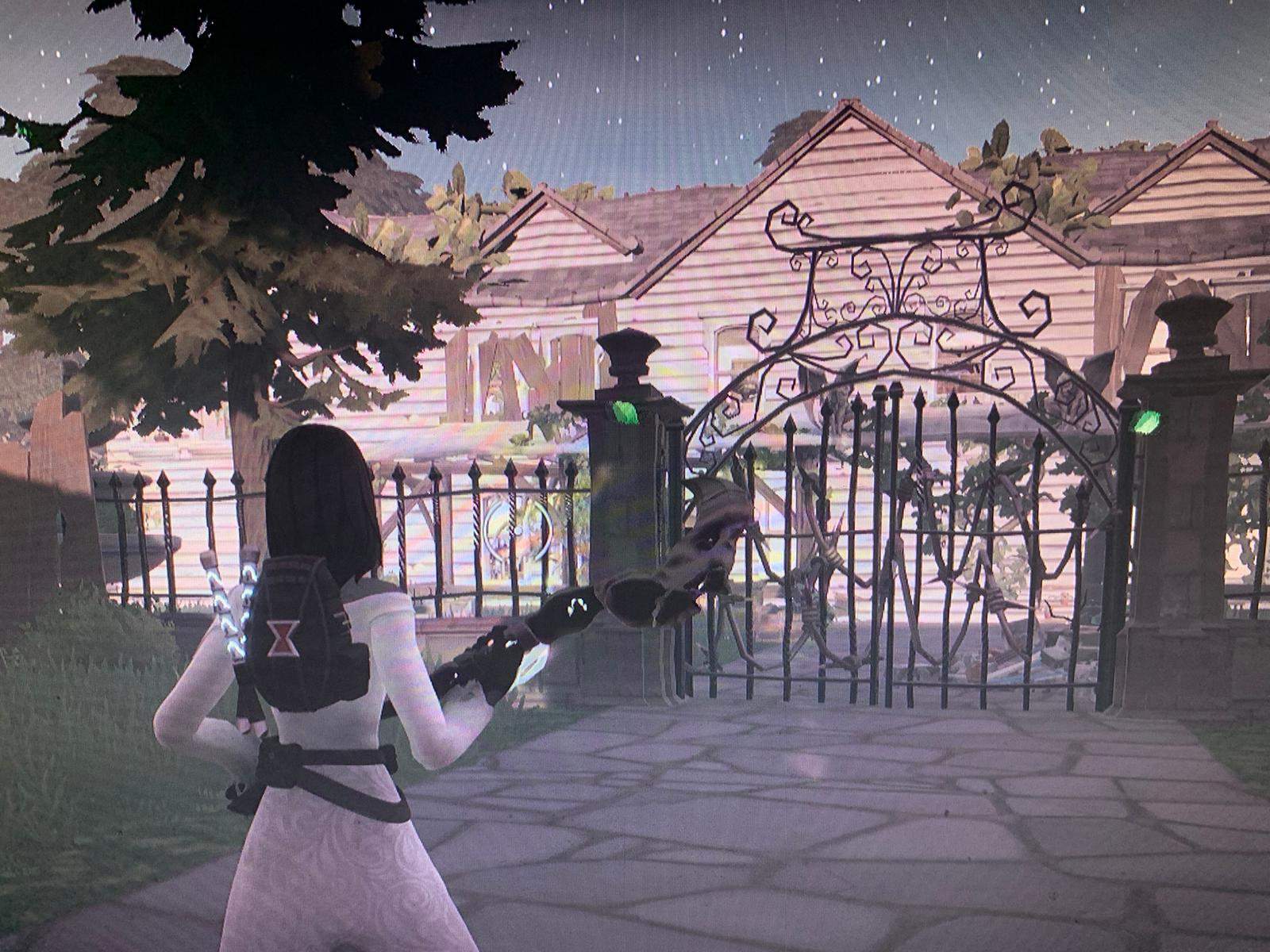 THE RETURN OF THE FOREST WITCH