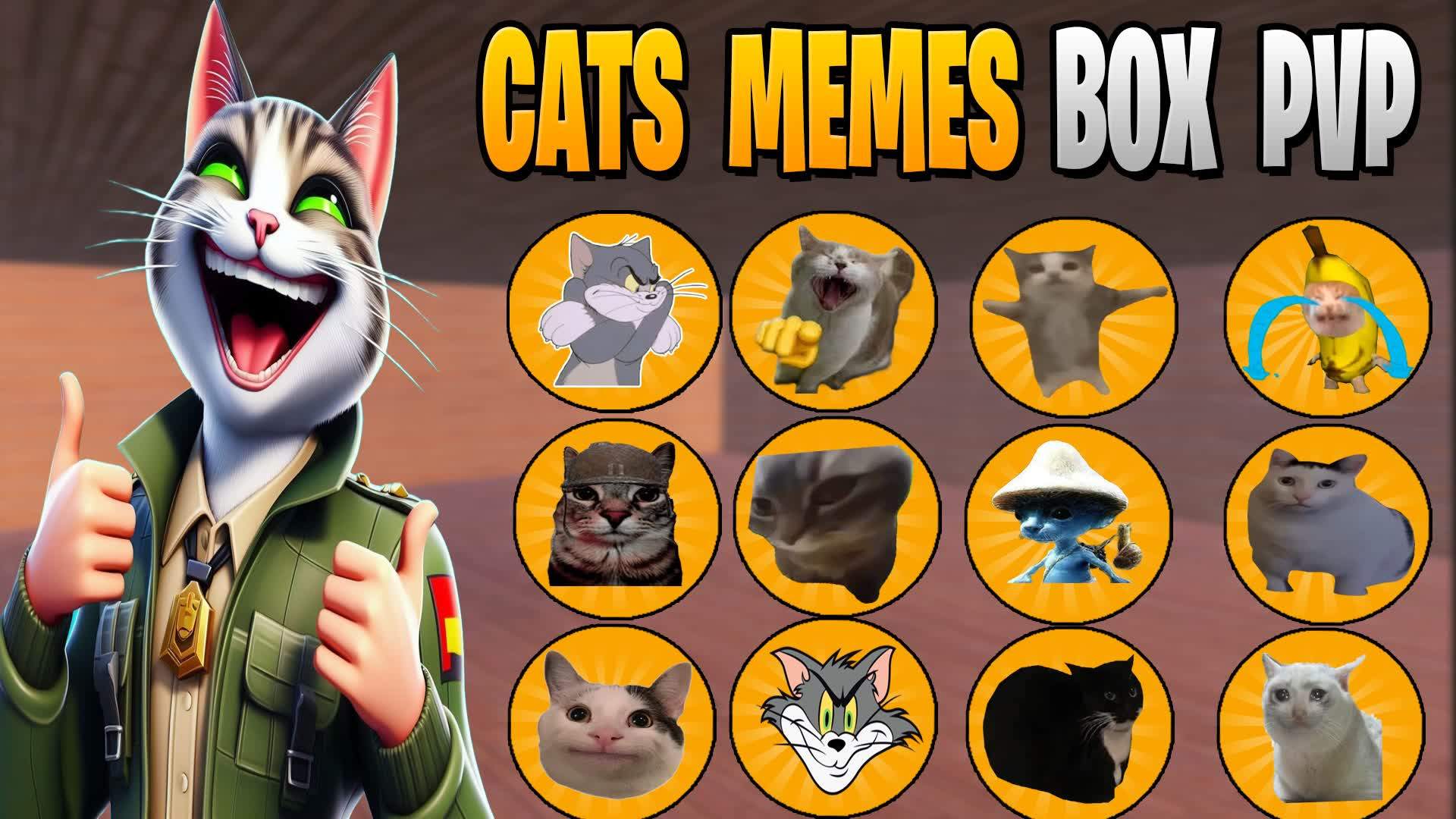 CATS MEMES : BOX PVP 😂