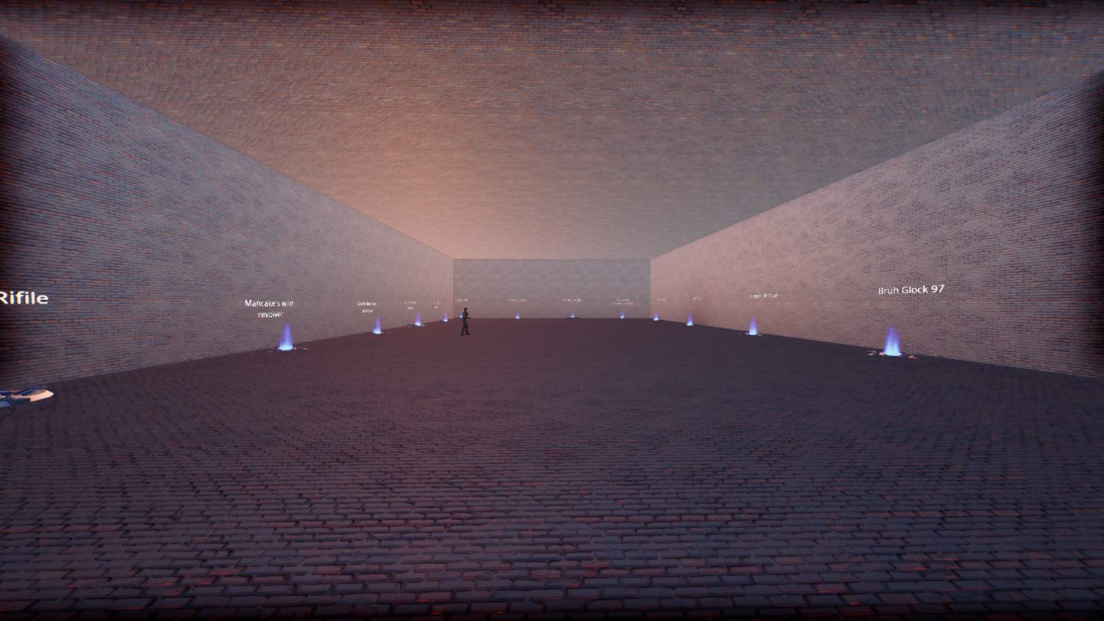 NEW GUNS (EXPERIMENTAL)