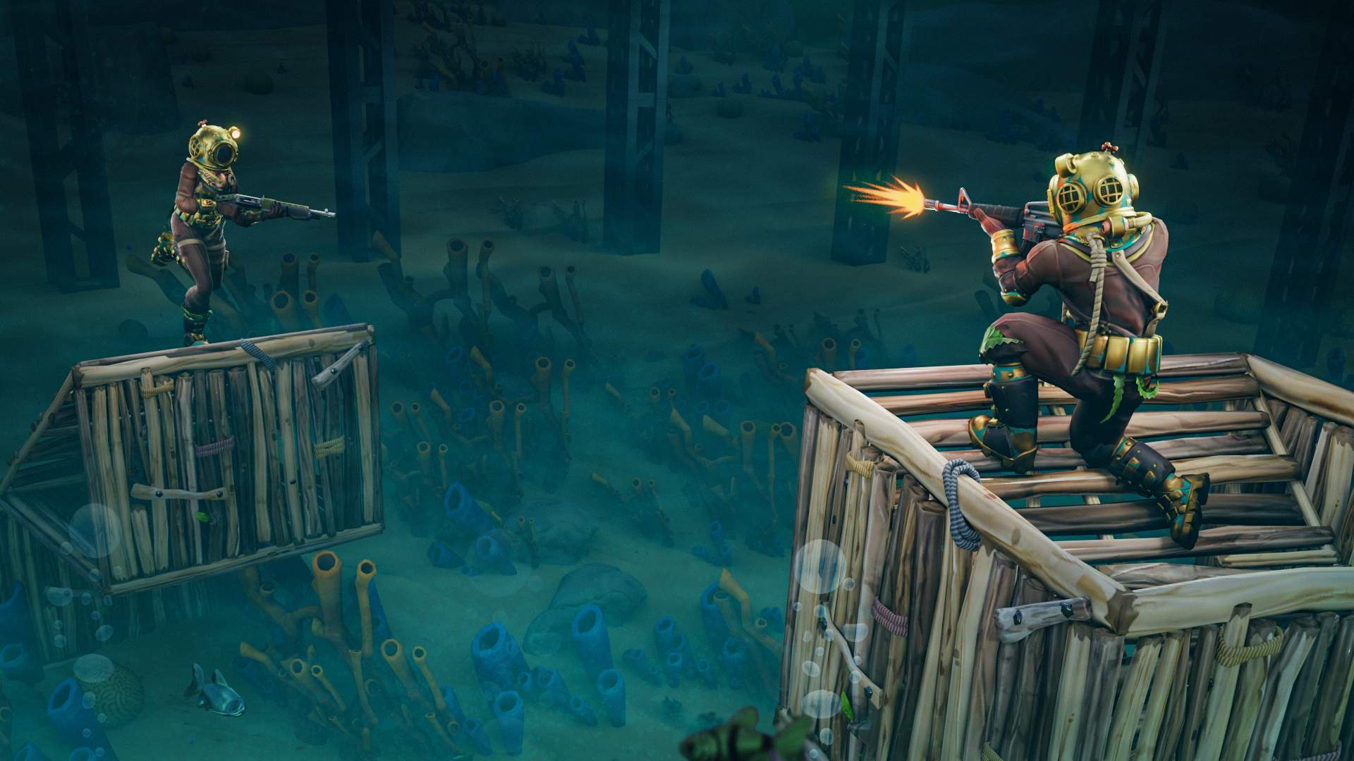 FFA BOX FIGHT - OCEAN OBSERVATORY