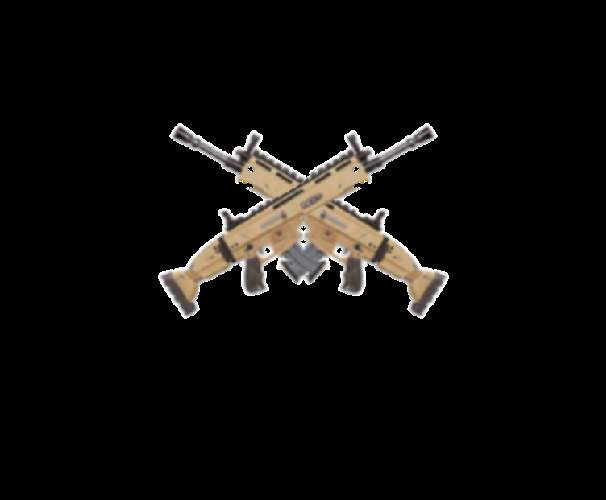 912._.CAM'S BATTLE BRAWL ARENA