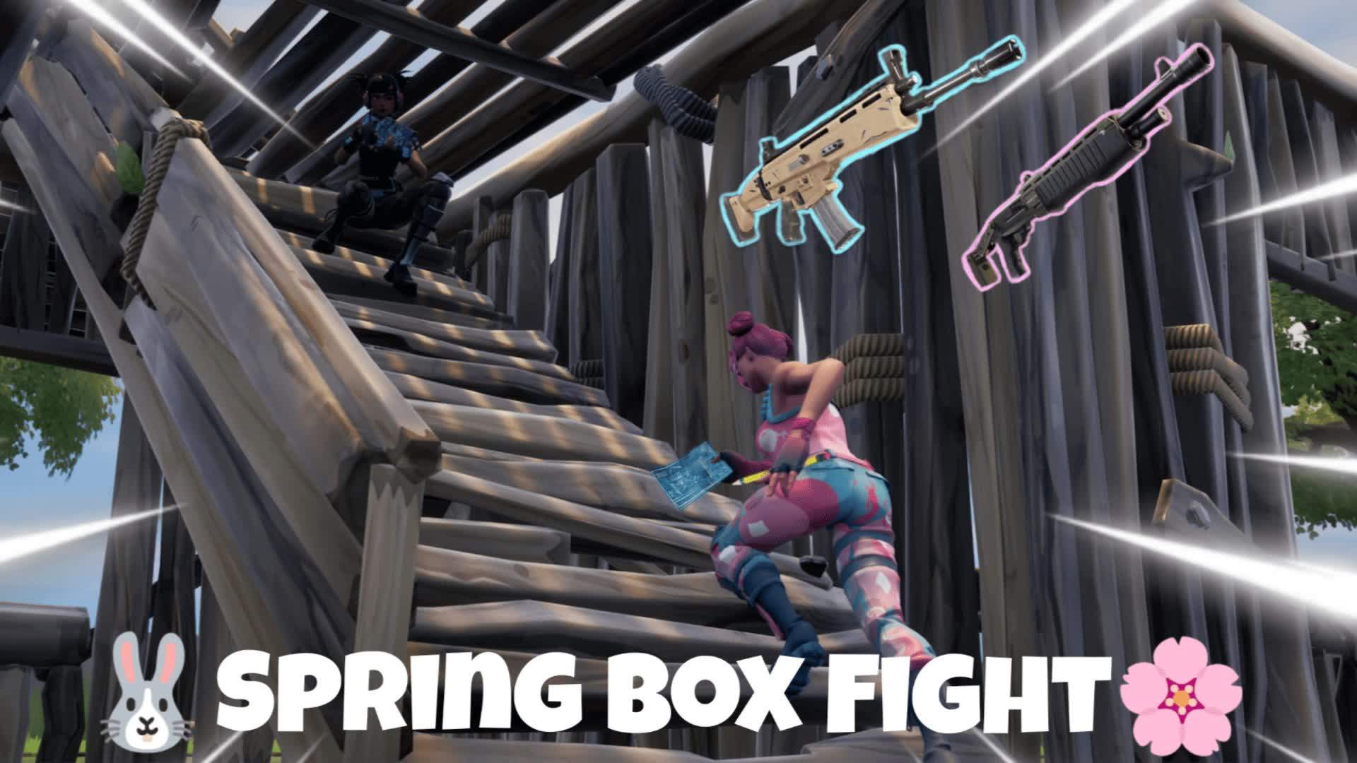 Spring Box Fight