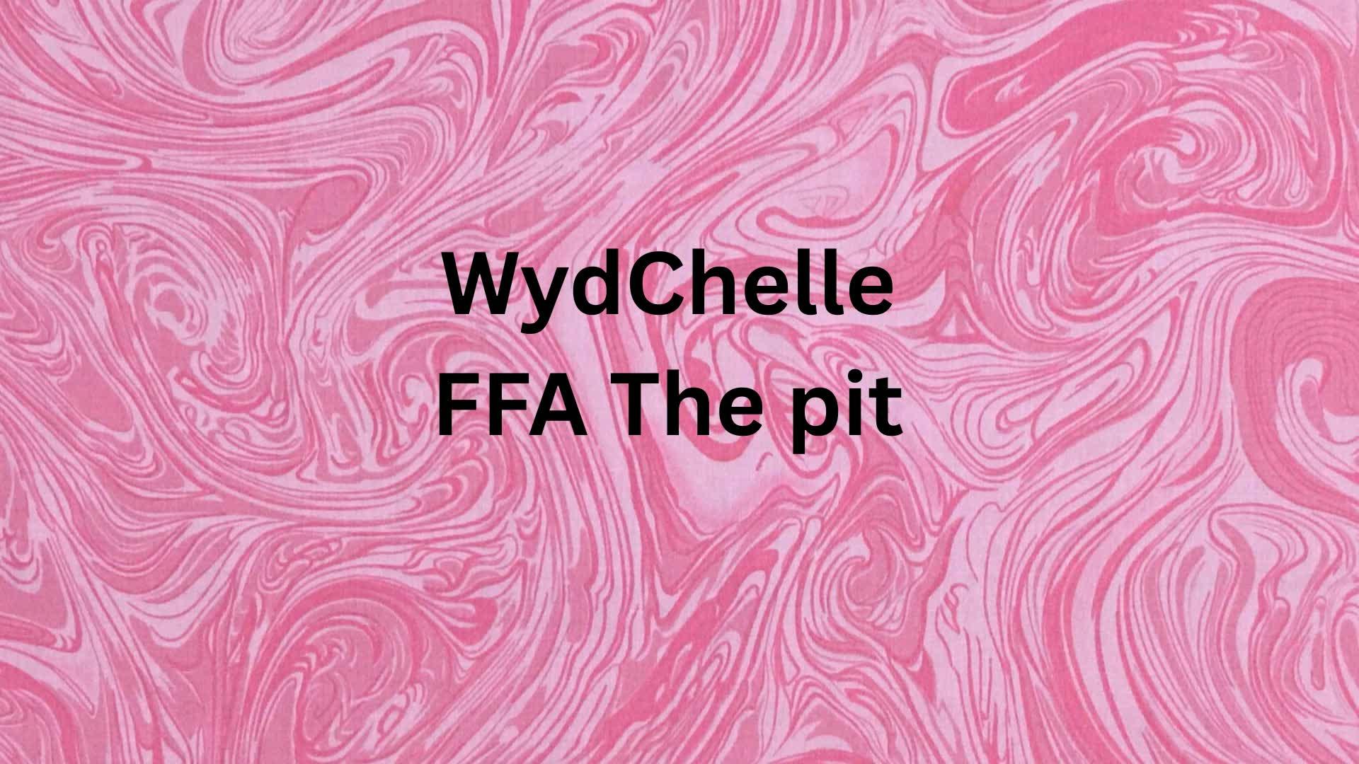 Chelle X Extreme Zero Build ffa