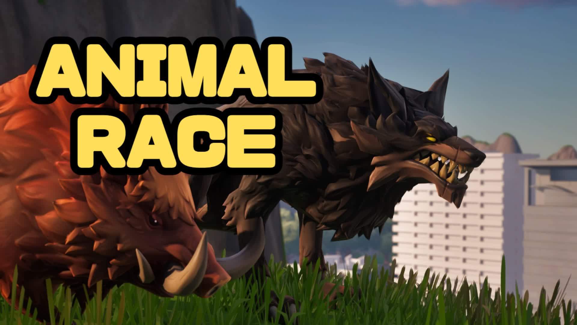 ANIMAL RACE