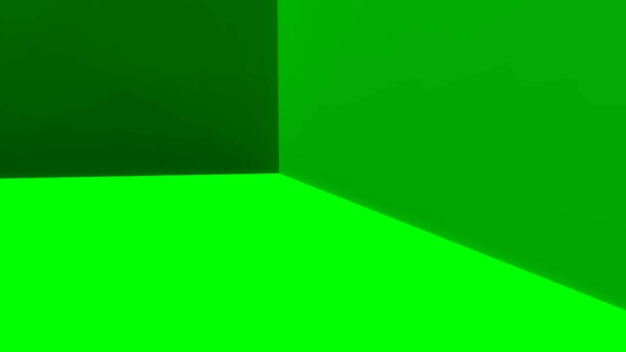GREEN SCREEN BOXFIGHT
