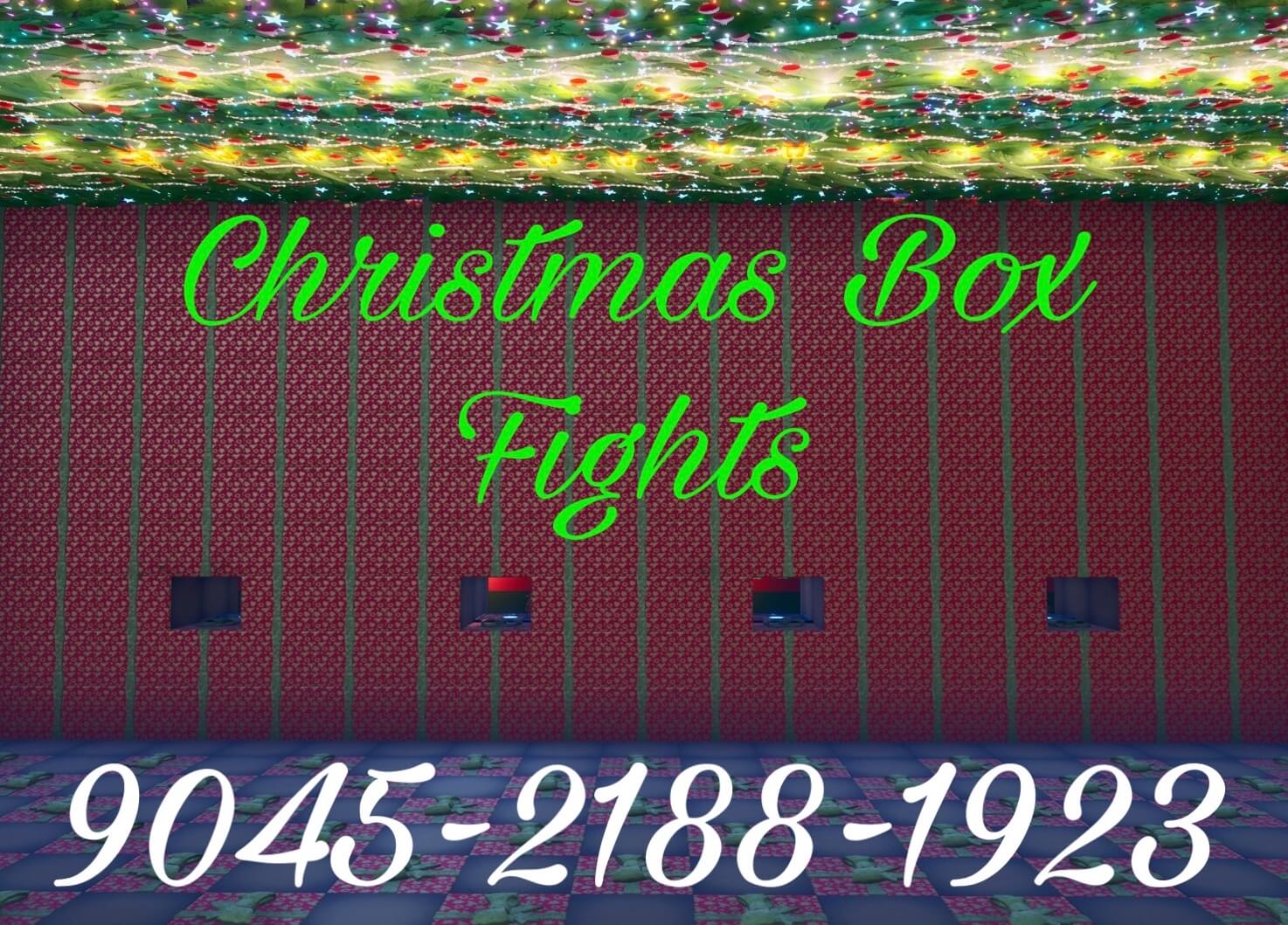 CHRISTMAS BOX FIGHTS