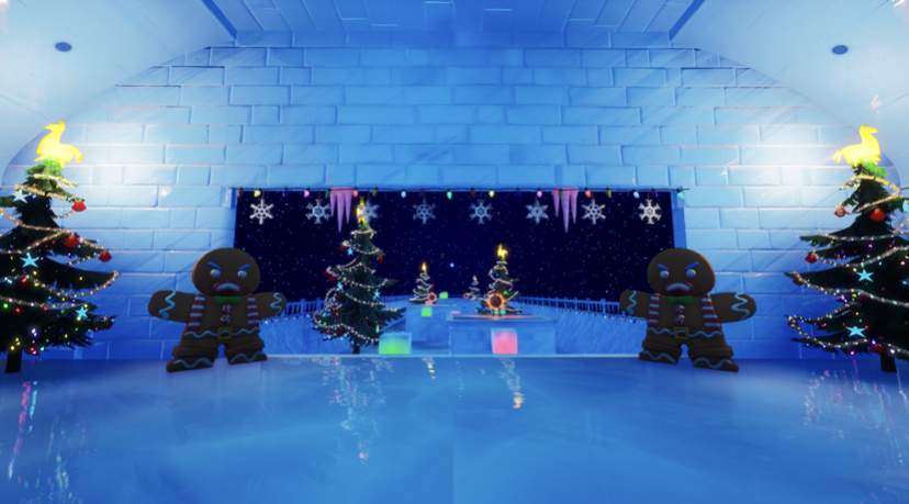 THE 50 LEVEL CHRISTMAS FUN RUN