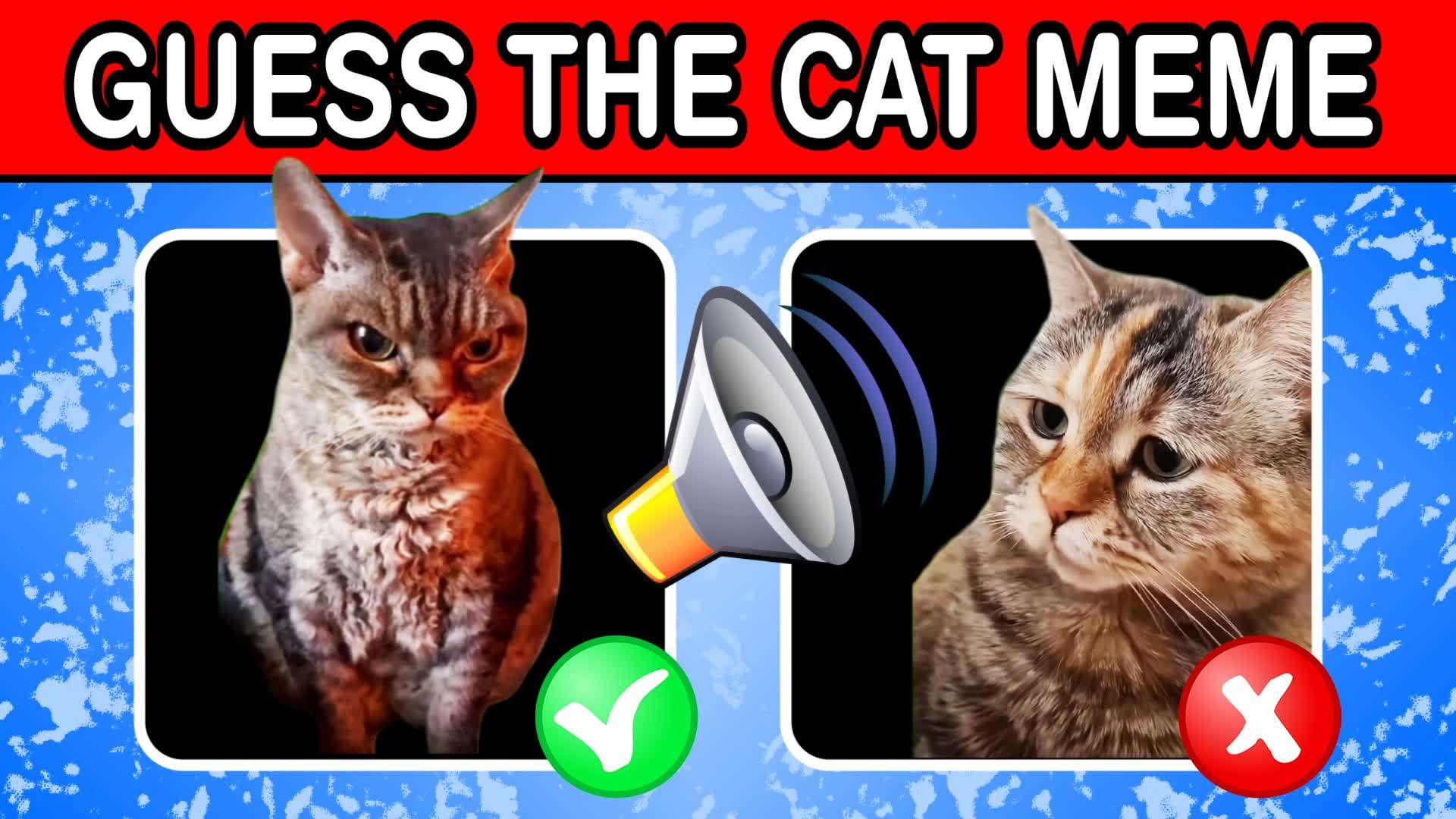 GUESS THE CAT MEME [QUIZ]