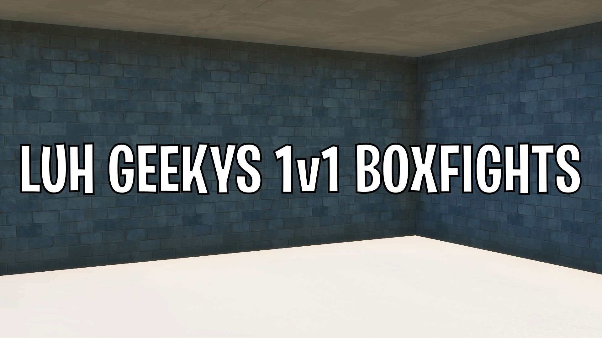LUH GEEKYS 1V1 BOXFIGHTS