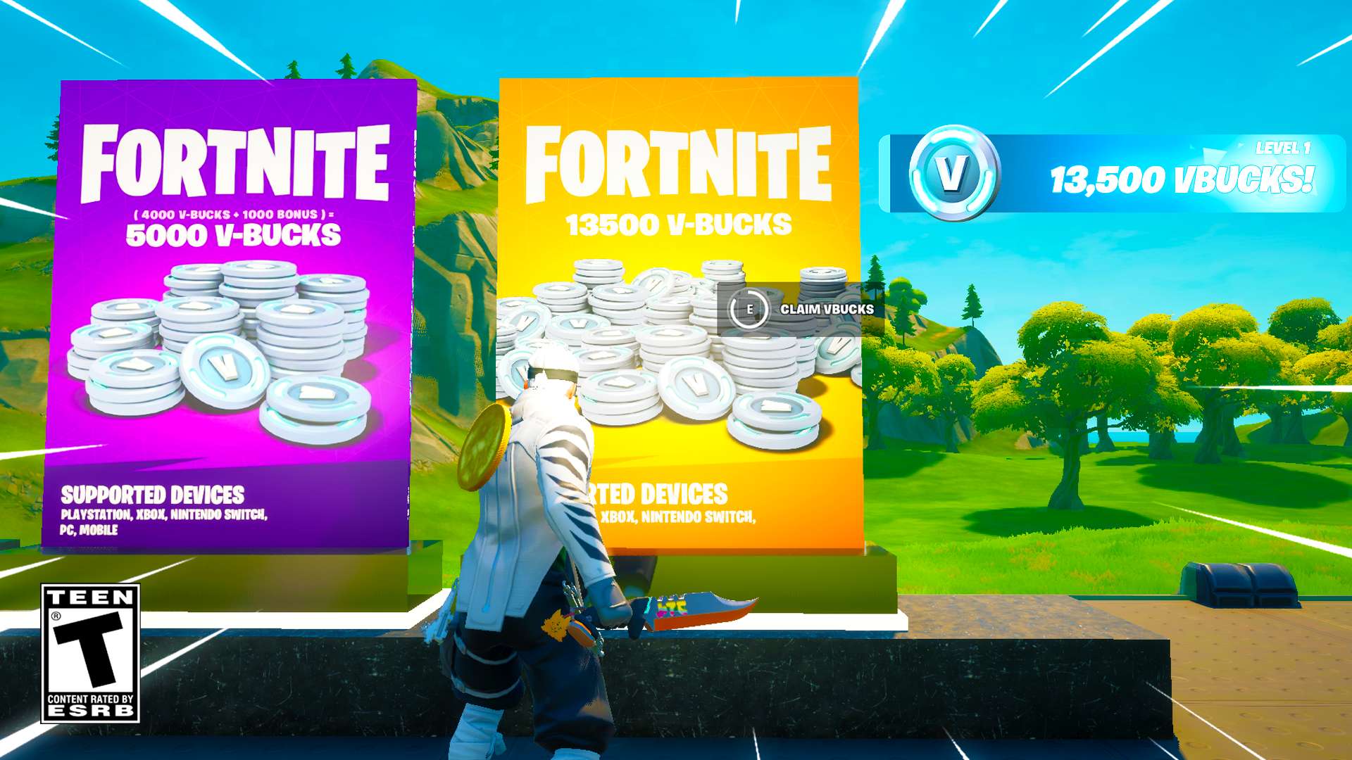 Fortnite - 13,500 Vbucks